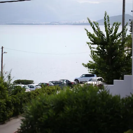 Salona *